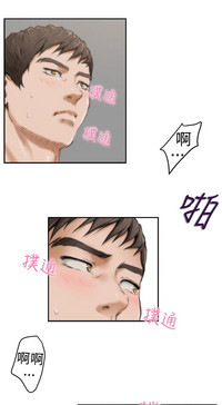 第390頁圖