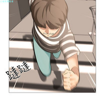 第594頁圖
