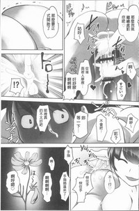 第142頁圖