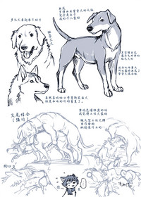 第10页图