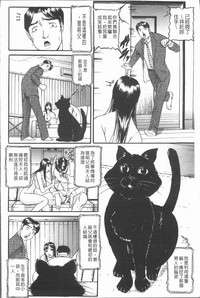 第190頁圖