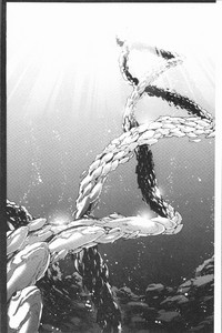 第78頁圖