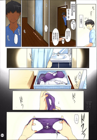 第250頁圖