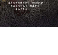 第146頁圖