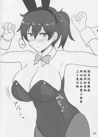 第22页图