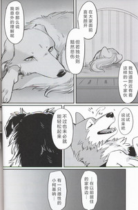 第10页图
