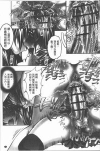 第82頁圖