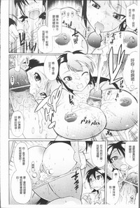 第142頁圖
