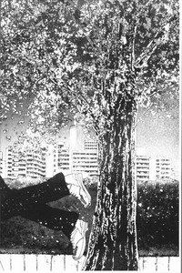 第178頁圖