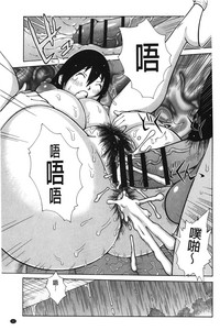 第34頁圖