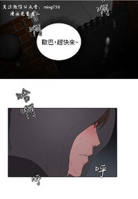 第186頁圖