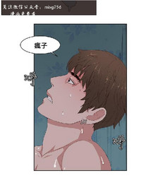 第278頁圖