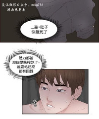 第382頁圖
