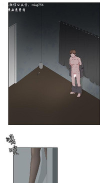 第414頁圖