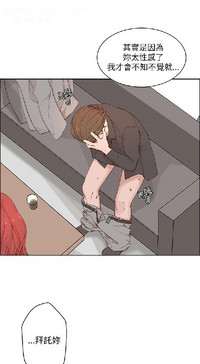 第546頁圖