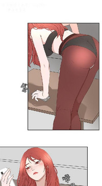 第554頁圖