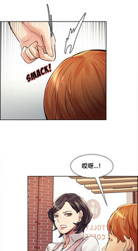 第222頁圖