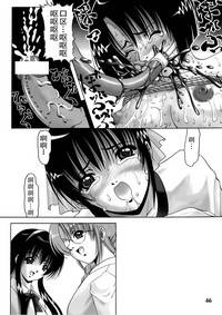 第46頁圖