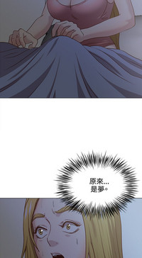 第242頁圖