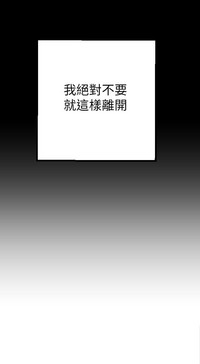 第250頁圖
