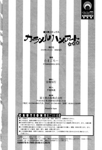 第206頁圖