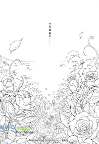 第218頁圖