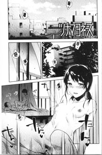 第130頁圖