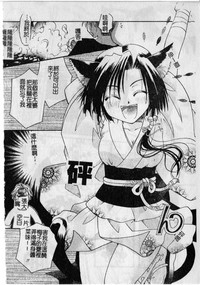 第166頁圖