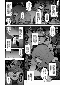 第14頁圖