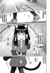 第146頁圖