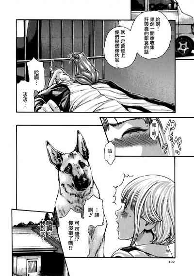 第102頁圖