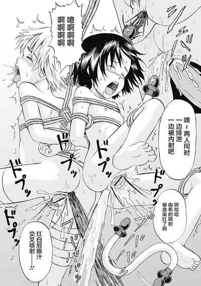 第242页图