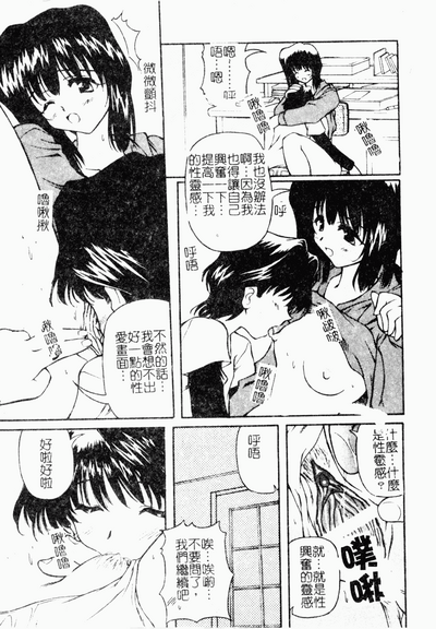 第142頁圖