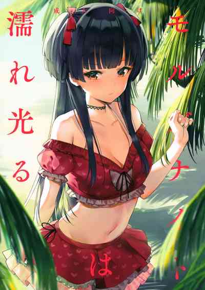第2頁圖