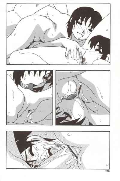 第230頁圖