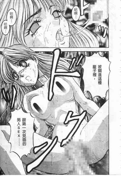 第106頁圖