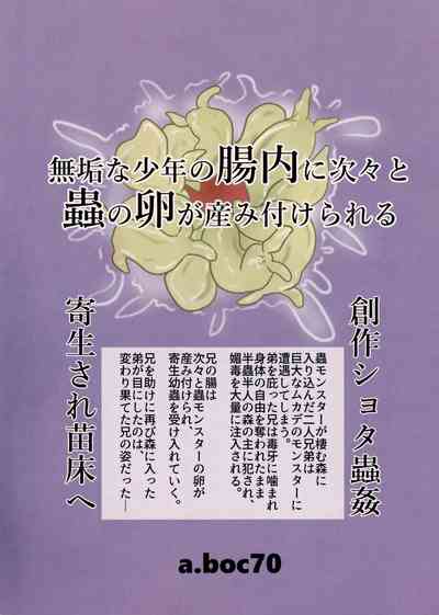 第34頁圖