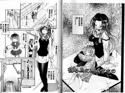 第46頁圖