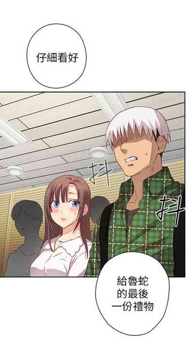 第274頁圖