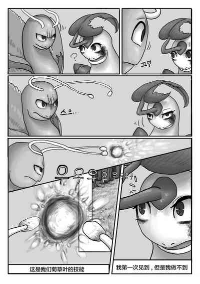 第50頁圖