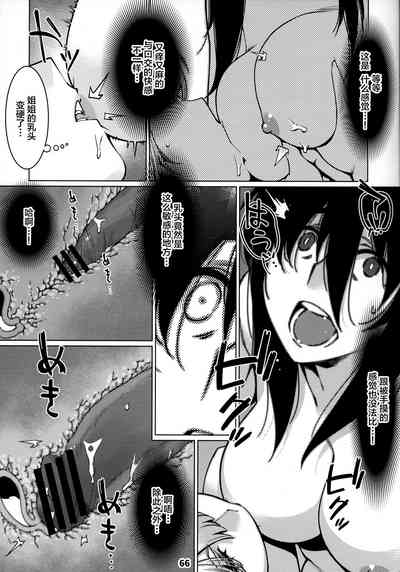 第66頁圖