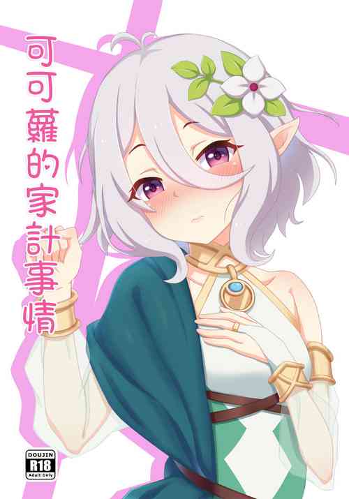 可可蘿的家計事情圖