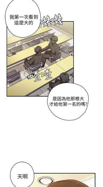 第506頁圖