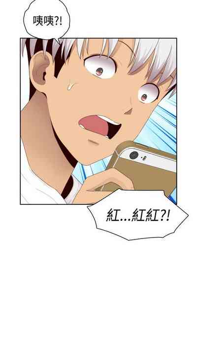 第510頁圖