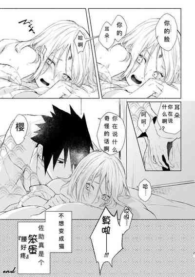 第22頁圖