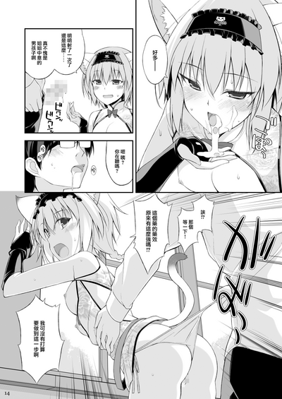 第14页图
