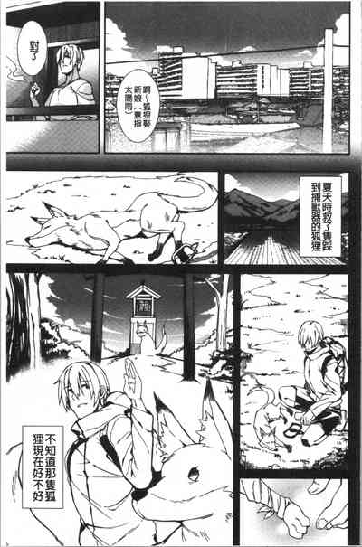 第26頁圖