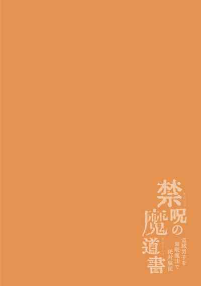 第2页图