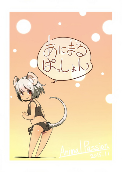 第26頁圖
