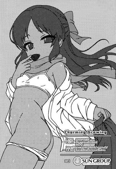 第30頁圖